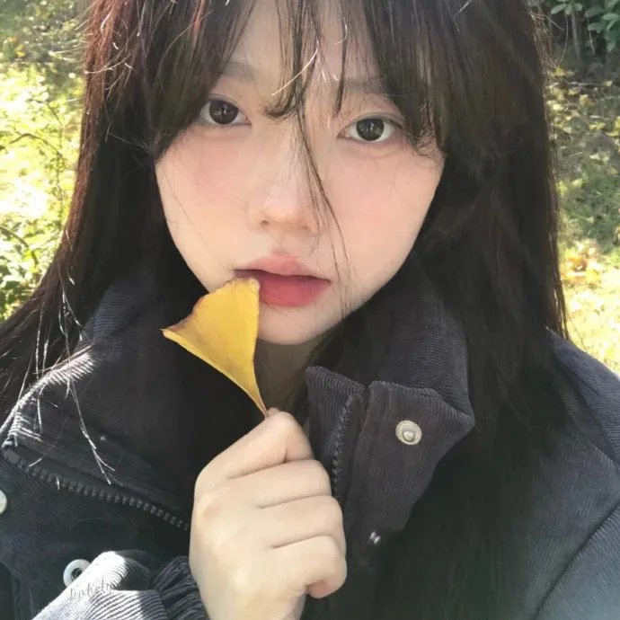 蓝天花朵